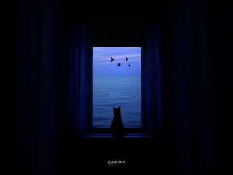 لماذايختارون ذلك نجم ويطفأونه 