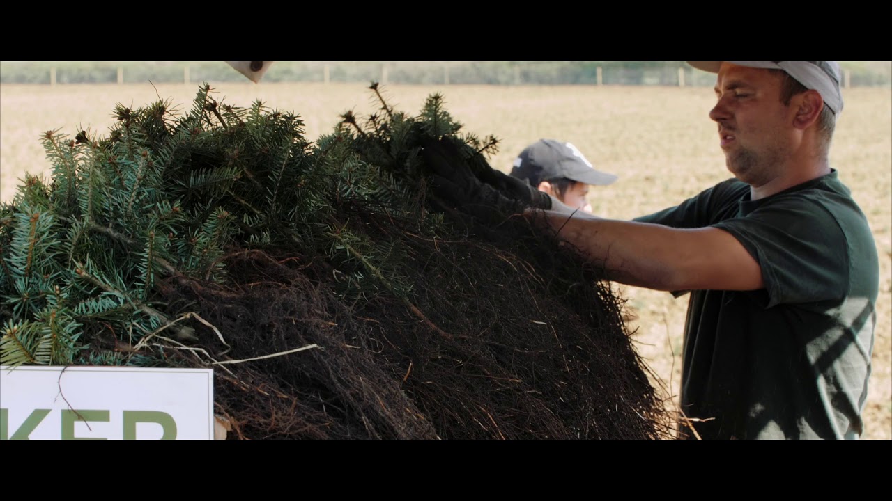 Walker Forestry