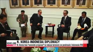 N. Korea comes up with "concrete proposal" to reduce tensions on peninsula: Indonesia FM