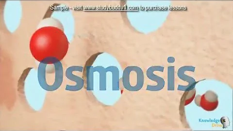 G9 2 2 0 Introduction to Osmosis Sample