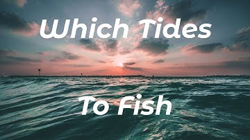 What Tides To Choose (Shore Fishing UK) - How Tides Affect Shore Fishing - Sea Fishing Tutorial
