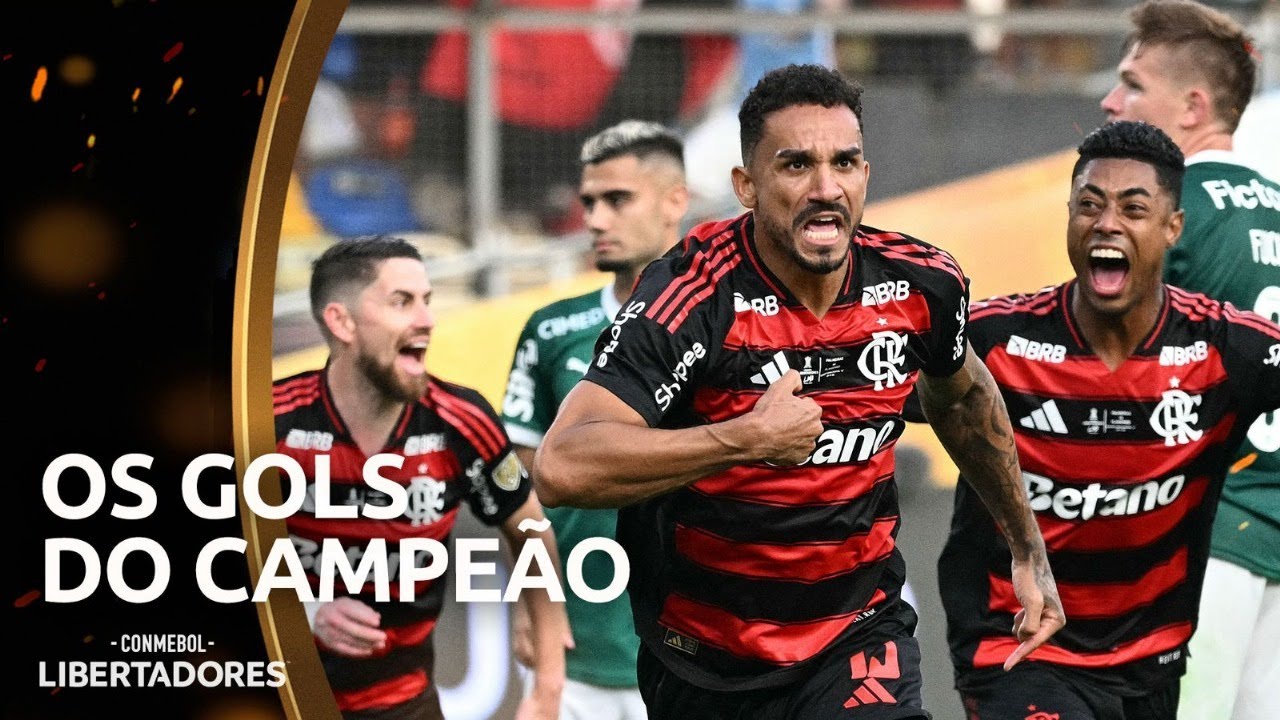 TODOS OS GOLS DO FLAMENGO NA CONMEBOL LIBERTADORES 2025