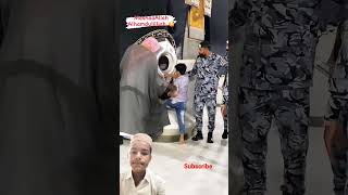 Mashallha#short https://media.tenor.com/qK--hJ8aDscAAAAM/kabah.gif