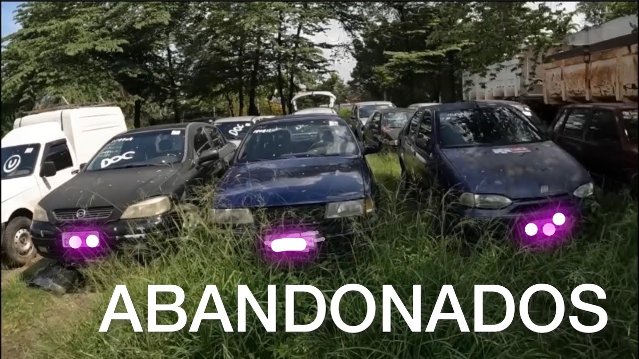 SUPER Compilado dos MELHORES Vídeos do LEILÃO de CARROS ABANDONADOS do DETRAN no leilão