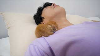 What Happens When You Sleep with a Kitten?
