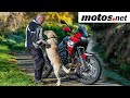 Honda Africa Twin 2022 | Off-Road Media Experience / Test / Review HD/ motos.net