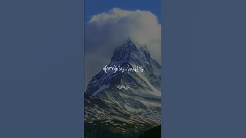 إِنَّ الَّذِينَ آمَنُوا ثُمَّ كَفَرُوا ثُمَّ آمَنُوا || سورة النساء || علي جابر