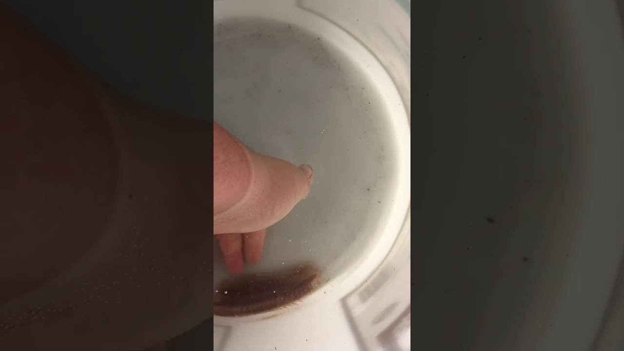 lizard skin grips Sea centipede!!!!