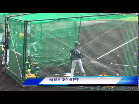 阪神タイガースキャンプ11 沖縄 65 緒方凌介 トスバッティング