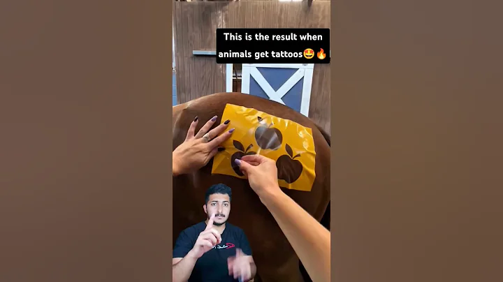 This is the result when animals get tattoos#shorts #jaidmeel