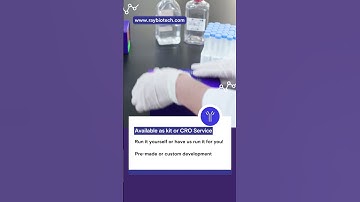 Clean & Fast Proteomics