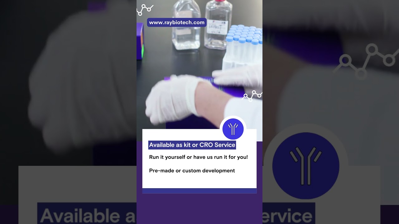 Clean & Fast Proteomics