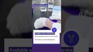 Clean & Fast Proteomics