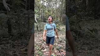 Bushcraft Skills: Clever and Useful in Fores....