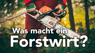 Was macht ein Forstwirt? - Forst erklärt