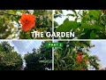 The Garden 🏡 Cinematic video Part - 2| Nature B roll #youtube