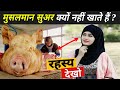 मुसलमान सुअर का मांस क्यों नहीं खाते हैं ? | Why Muslim Don't Eat Pork | Fact Mantra