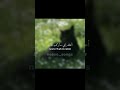 اغنية no one noticed مترجمه بدون موسيقى #like #بدون_موسيقى #lisen #اكسبلور #ترجمة_أغاني #lyrics