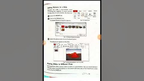 Class 5 Chapter 7 part 2