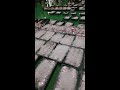 동방굴비 구매문의 010-4170-5440