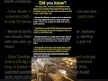 Title 5 Invisible Secrets of the Universe! 🔬 #shorts #sciencefacts