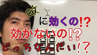 虫除けプレート