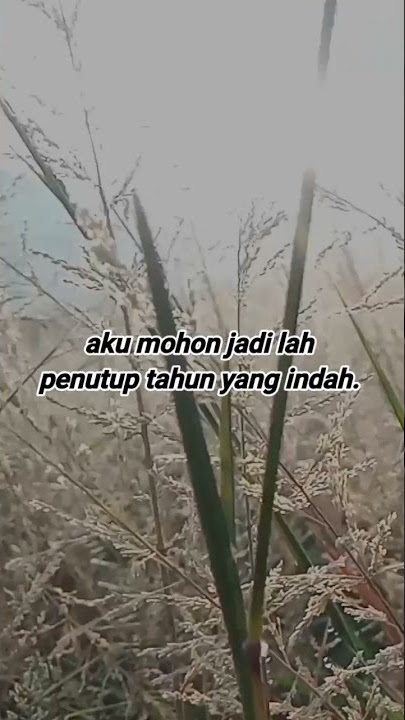 Story WA 30 detik Bulan Desember