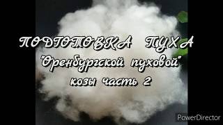 :     " "   2