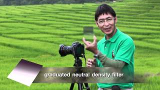 การถ่ายภาพเทคนิคชัดลึกชัดตื้น