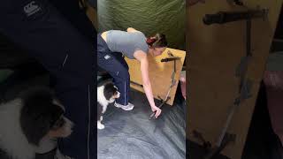 Backyard Sleepover Setup
Set up the OZtrail Fast Frame Tent in the backyard for the ultimate sleepover, plus sleeping bags, lights and more from our junior camping range. Backyard Basecamp sale on now.
Shop The Sale Backyard Sleepover Setup