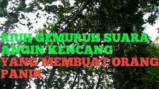 Riuh Gemuruh Suara Angin Kencang Membuat Orang Panik