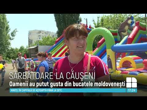 Video: Noutăți Noi Lansări PAL