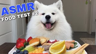 Dog Reviews Different Types Of Food | Maya Monch Mission #2