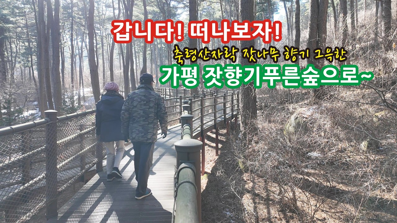 갑니다! 떠나보자 가평 잣향기푸른숲으로~