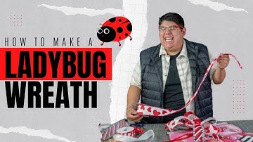 How To Make A Ladybug Wreath | DIY Deco Mesh Ladybug Wreath
