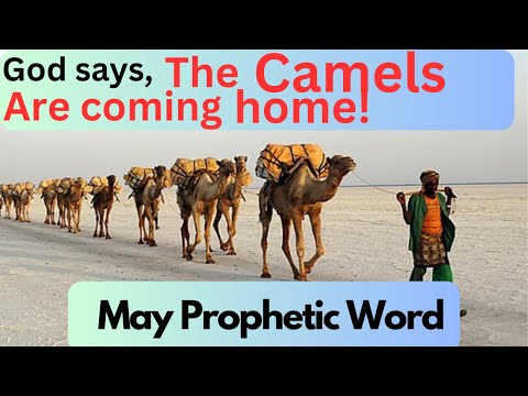 God says, “The Camels Are Coming Home” May Prophetic Word #may  #propheticword  #prophecytime