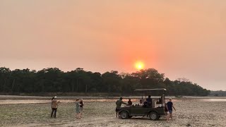 Meghauli Safari Jimdar