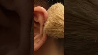 Ultra-Realistic 3D Over-Ear Haircut ASMR | Deep Sleep & Stress Relief