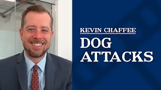 Dog bite lawsuits | Kevin Chaffee by ReelLawyers 5 views 1 month ago 1 minute, 4 seconds