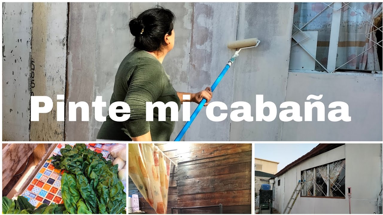 Pintando mi cabañita 🛖 🎨🫟🖌️
