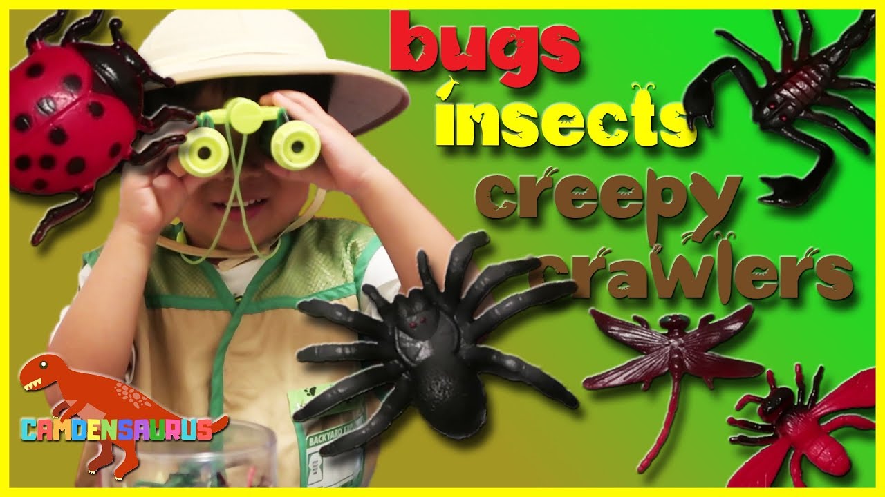 Learn and Play with Bugs with CAMDENSAURUS