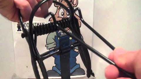 Victor Out O Site Setting 001.MP4