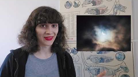 Lights Out! Animal behaviour during Solar Eclipses.