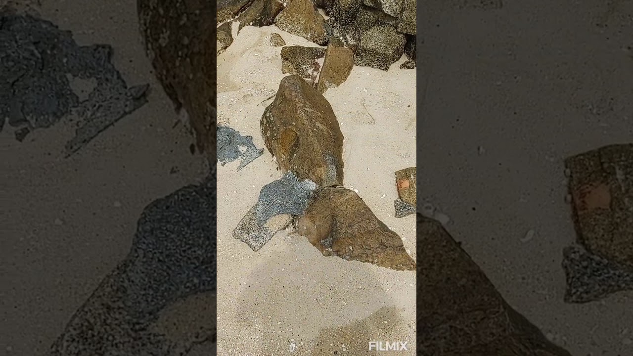 PRAIA DA TAPERA. FLORIANÓPOLIS - SC, BRASIL. - YouTube