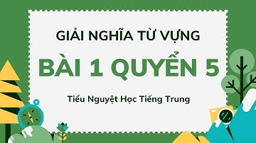 Giải Nghĩa Từ Vựng BÀI 1 QUYỂN 5 Giáo trình Hán Ngữ Tổng Hợp | Tiểu Nguyệt Học Tiếng Trung