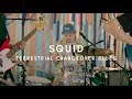 Squid - Terrestrial Changeover Blues (2007-2012) (Green Man Festival | Sessions)
