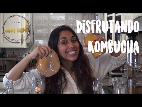 Vídeo: Com Curar El Kombucha