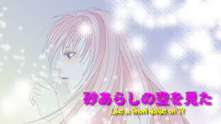 Like a Snow Noise on TV