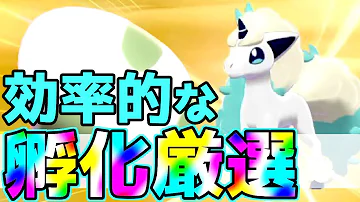 国際孵化で色違いが出ない時に見る動画 ポケモン剣盾 Mp3