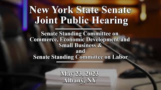 New York State Senate Joint Public Hearing - 05\/23\/2023